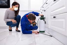 Best Residential Pest Control  in Fairbury, IL